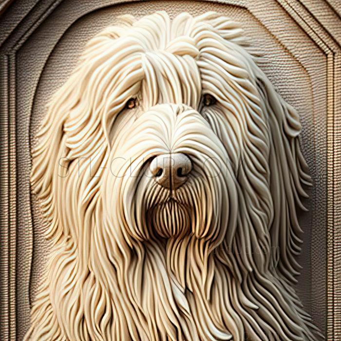 st Komondor dog